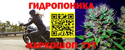 стаф Тверь