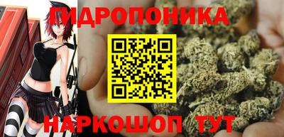 стаф Тверь